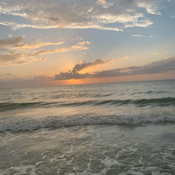 Meet your Posher, Lily - Picture 1 of 1